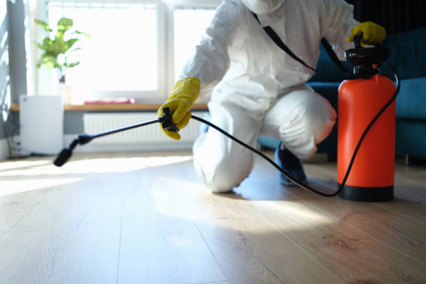 Reliable Odor Removal contractor in Sarita, TX by Dulley Family Biohazard Services